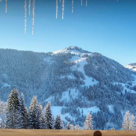 Zamaro - Ovo Network - Ovo Network * La Clusaz